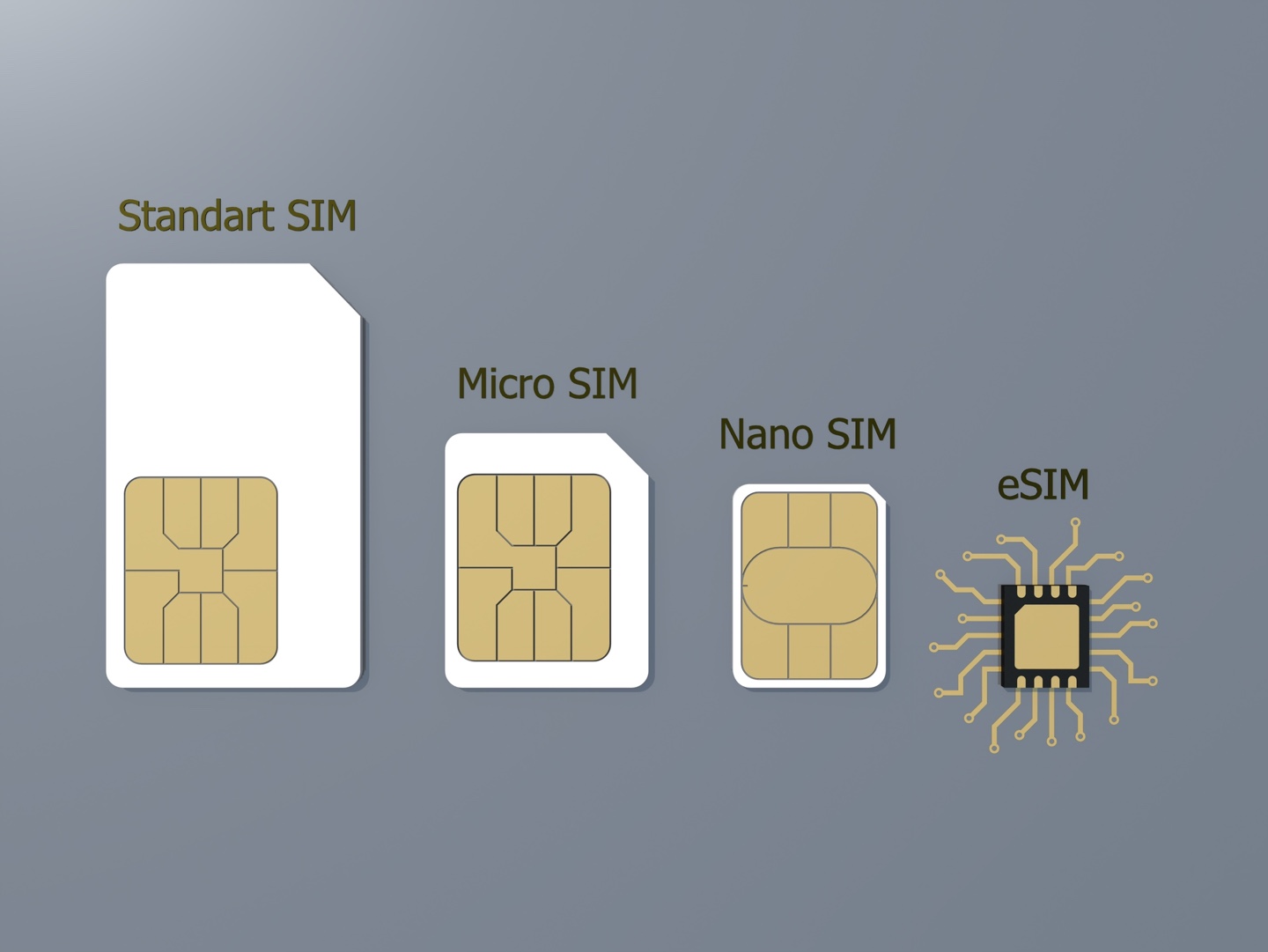 One Phone, Two Numbers: E-SIM