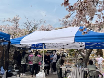 First Cherry Blossom Festival Held After COVID-19: Take Off the Mask