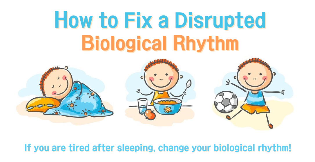 How to Fix a Disrupted Biological Rhythm?